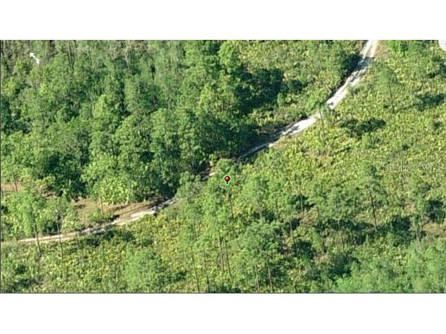 Dill Road Orlando FL 32820 O6233795 image3