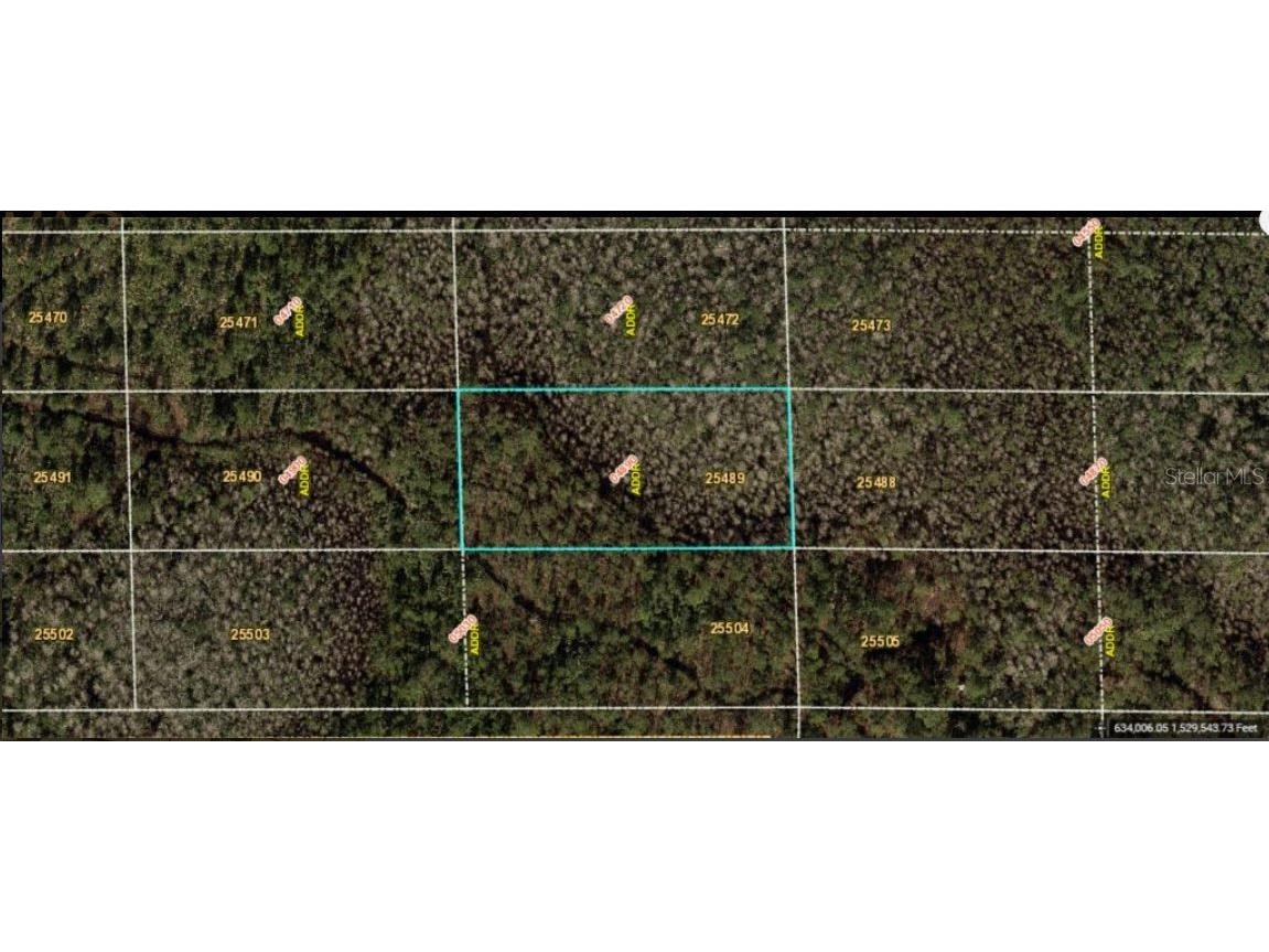 Dill Road Orlando FL 32820 O6233798 image2