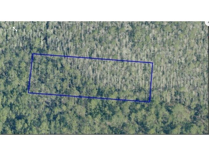 Dill Road Orlando FL 32820 O6233798 image3