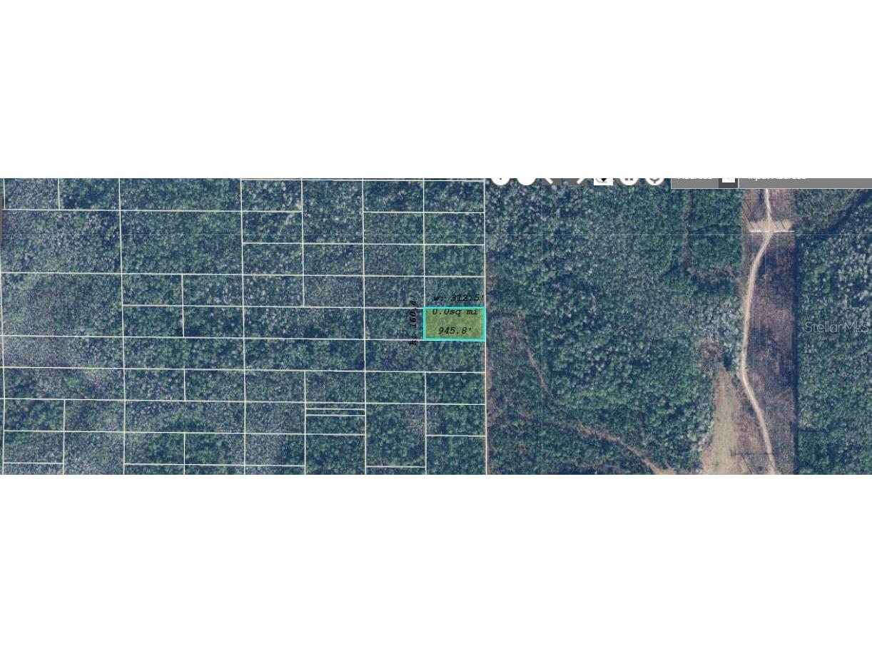 Dill Road Orlando FL 32820 O6233800 image2