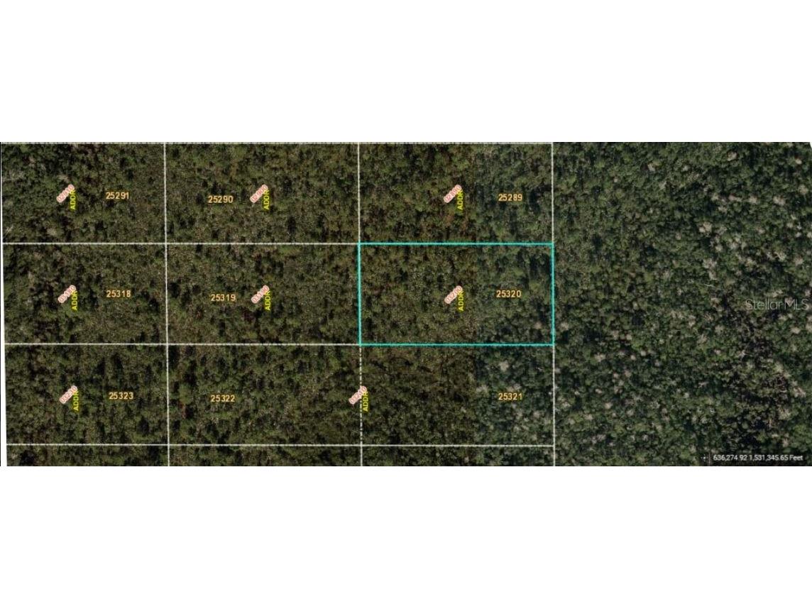 Dill Road Orlando FL 32820 O6233802 image2