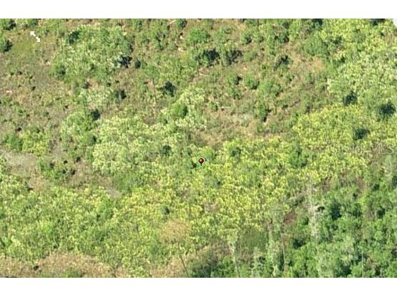 Dill Road Orlando FL 32820 O6233802 image3