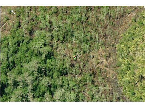 Dill Road Orlando FL 32820 O6233803 image4