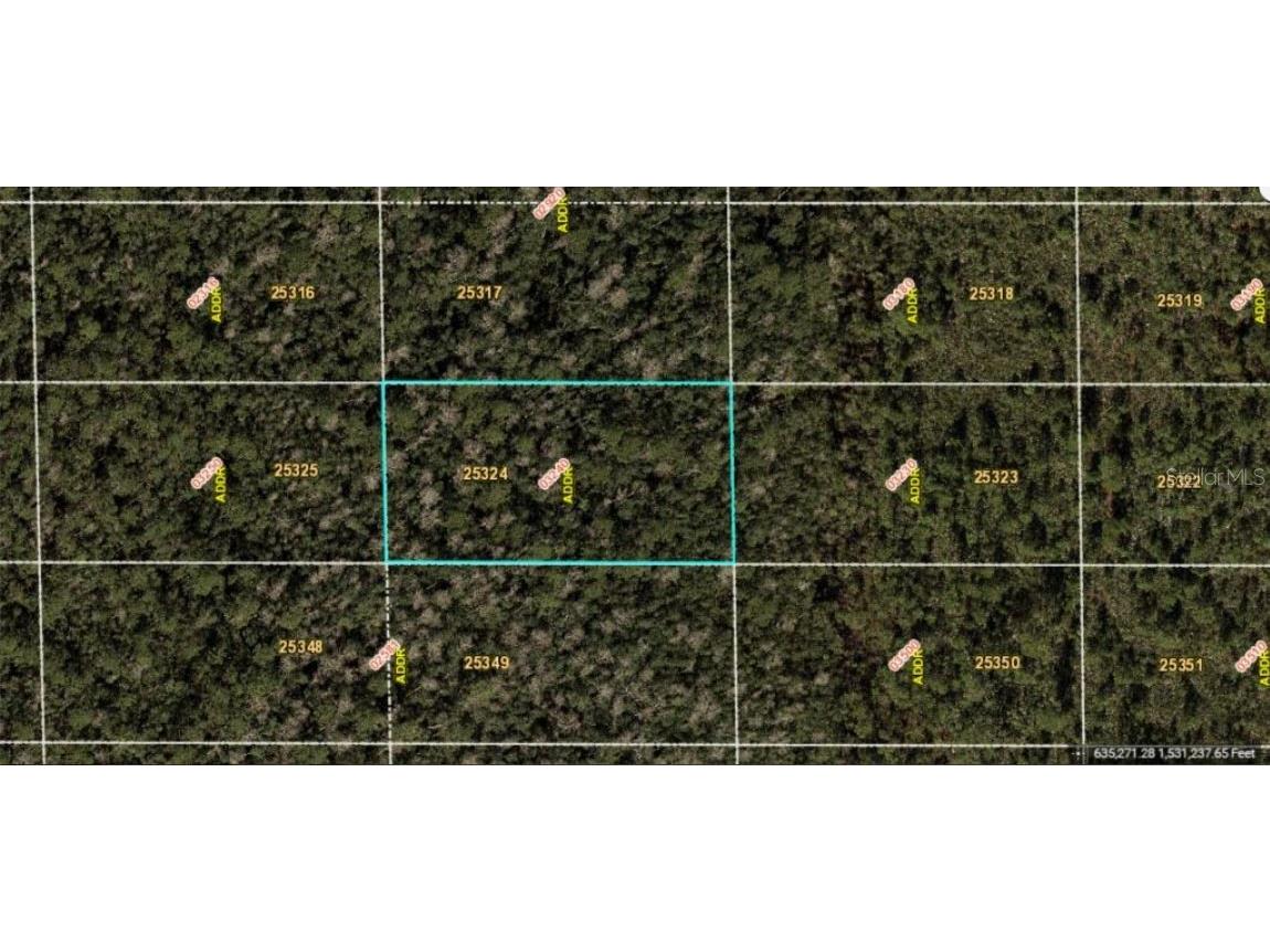 Dill Road Orlando FL 32820 O6233804 image2