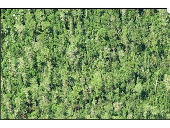 Dill Road Orlando FL 32820 O6233804 image3