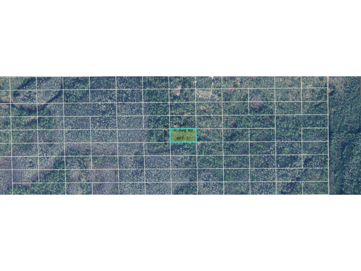 Dill Road Orlando FL 32820 O6233814 image2