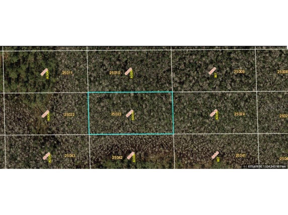 Dill Road Orlando FL 32820 O6234182 image2