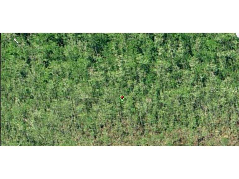 Dill Road Orlando FL 32820 O6234182 image3