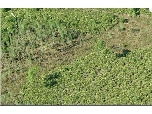 Dill Road Orlando FL 32820 O6234184 image3