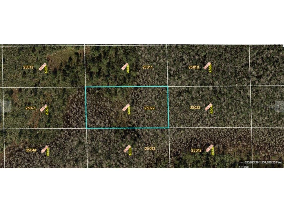 Dill Road Orlando FL 32820 O6234185 image2