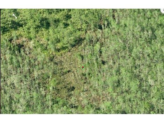 Dill Road Orlando FL 32820 O6234185 image3