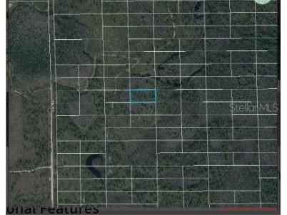 Dill Road Orlando FL 32820 O6234187 image4