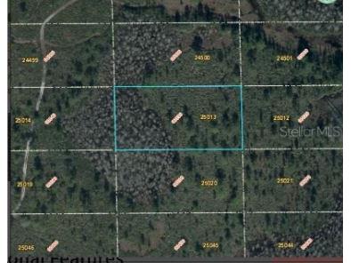 Dill Road Orlando FL 32820 O6234187 image5