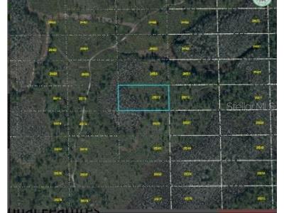 Dill Road Orlando FL 32820 O6234187 image6