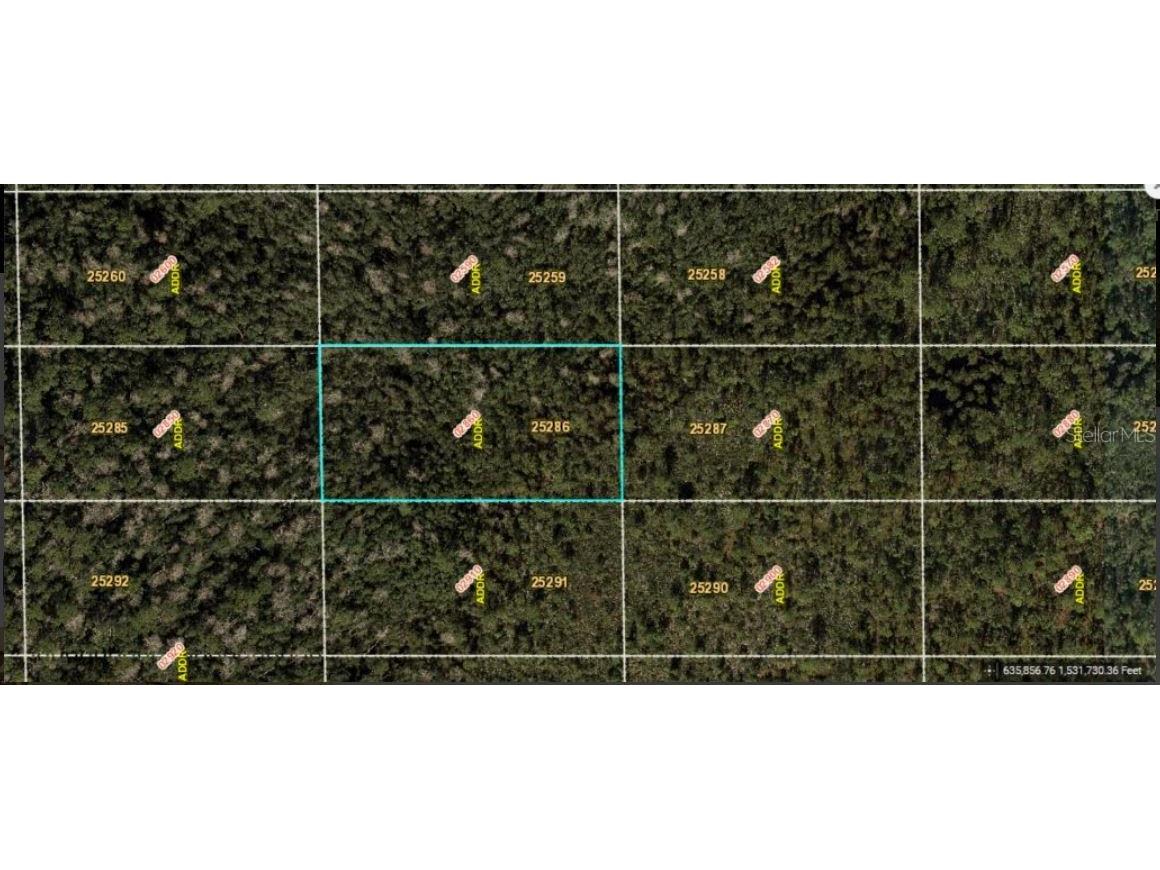 Dill Road Orlando FL 32820 O6234191 image2