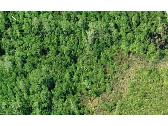 Dill Road Orlando FL 32820 O6234191 image3