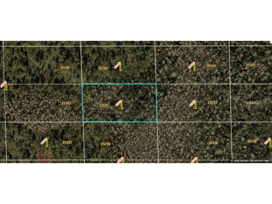 Dill Road Orlando FL 32820 O6234196 image2