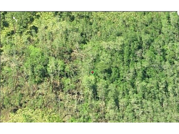 Dill Road Orlando FL 32820 O6234196 image3