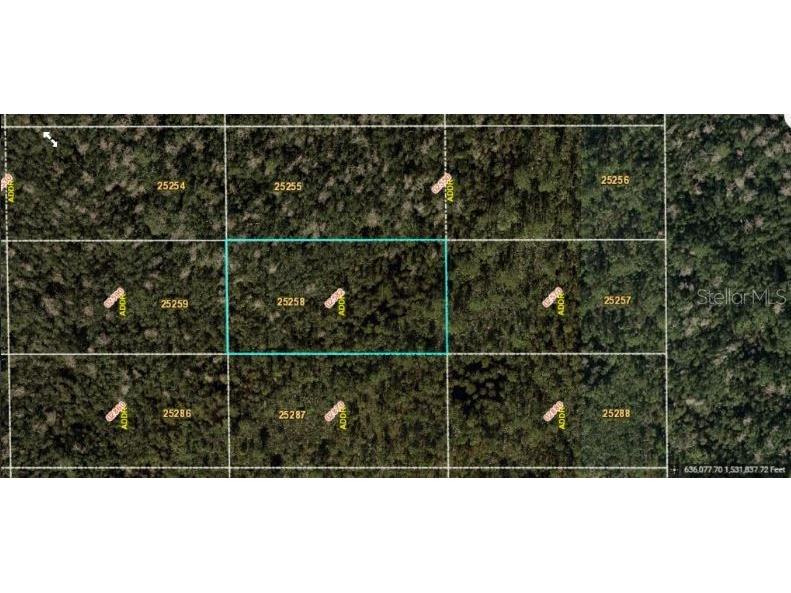 Dill Road Orlando FL 32820 O6234201 image2