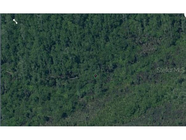 Dill Road Orlando FL 32820 O6234201 image3