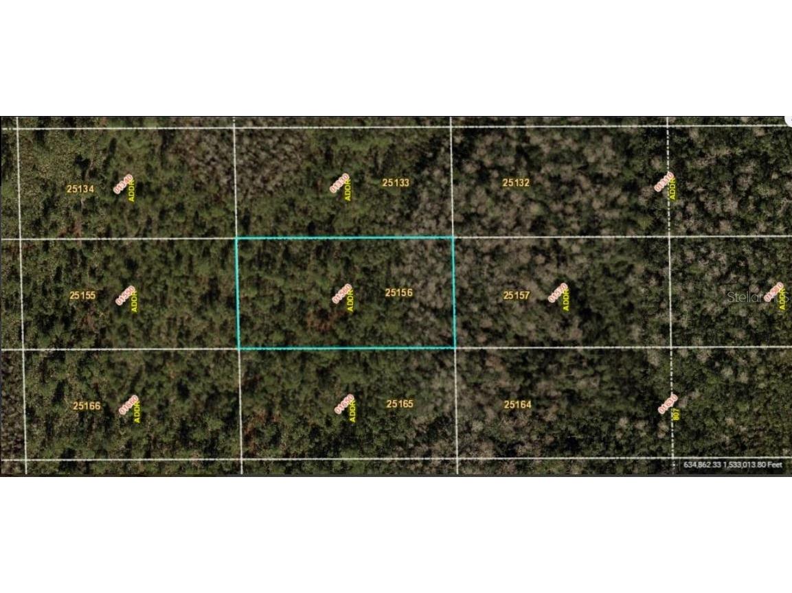 Dill Road Orlando FL 32820 O6234203 image2