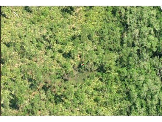 Dill Road Orlando FL 32820 O6234203 image3