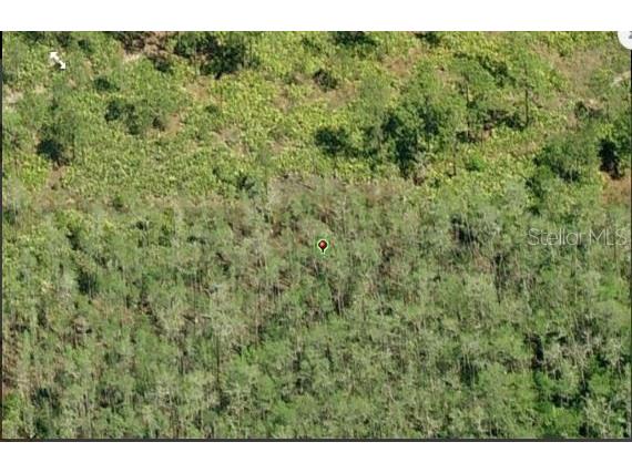 Dill Road Orlando FL 32820 O6234205 image3