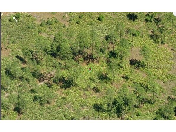 Dill Road Orlando FL 32820 O6234208 image3