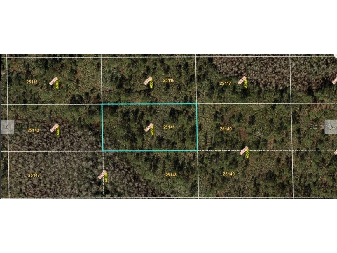 Dill Road Orlando FL 32820 O6234209 image2