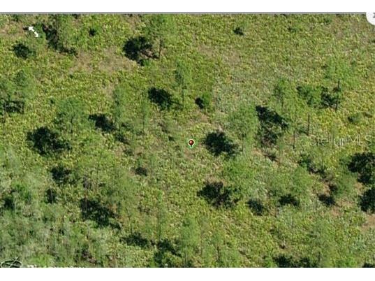 Dill Road Orlando FL 32820 O6234209 image3