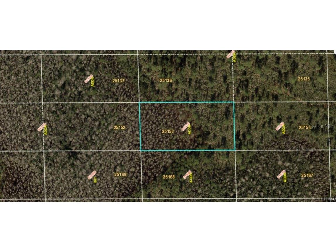 Dill Road Orlando FL 32820 O6234210 image2