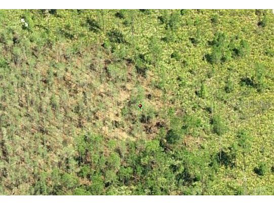 Dill Road Orlando FL 32820 O6234210 image3