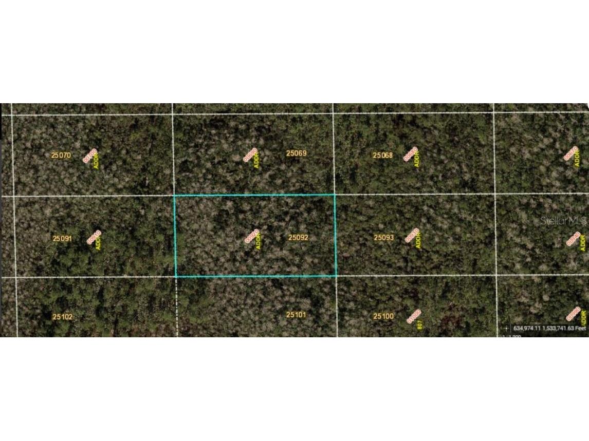 Dill Road Orlando FL 32820 O6234212 image2