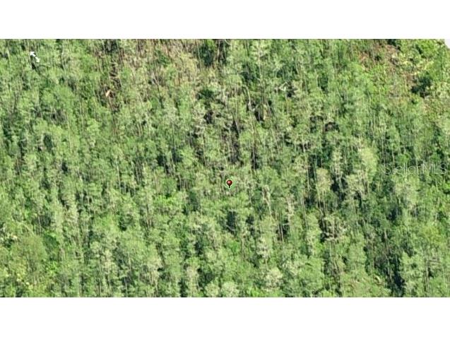 Dill Road Orlando FL 32820 O6234212 image3