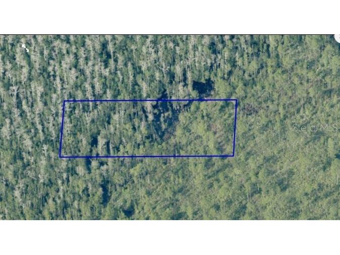 Dill Road Orlando FL 32820 O6234214 image3