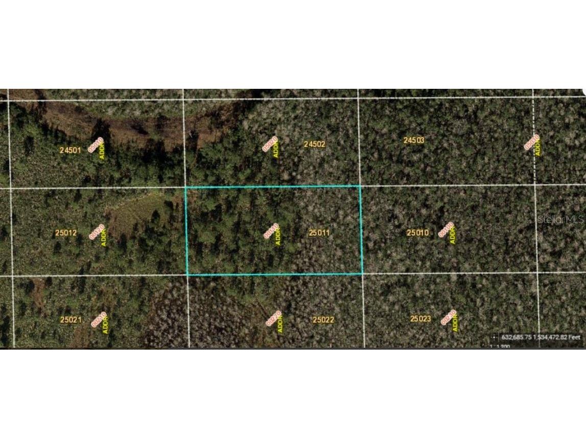 Dill Road Orlando FL 32820 O6234215 image2