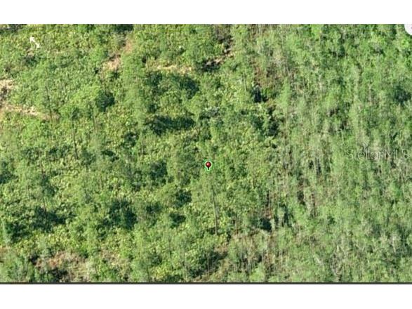 Dill Road Orlando FL 32820 O6234215 image3