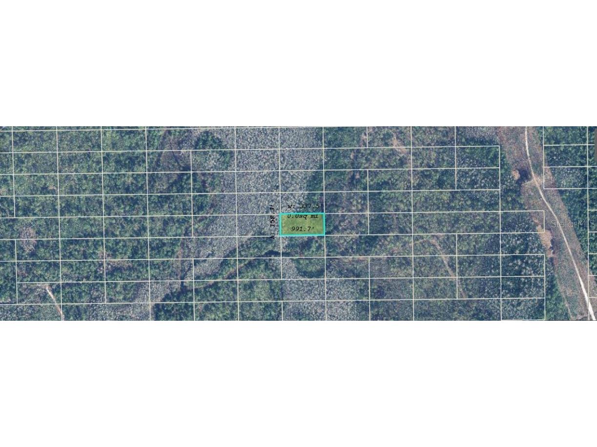 Dill Road Orlando FL 32820 O6234216 image2