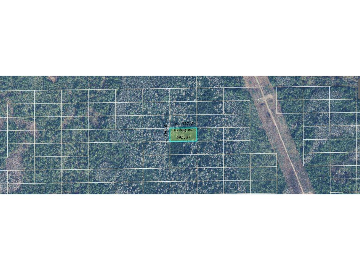 Dill Road Orlando FL 32820 O6234219 image2