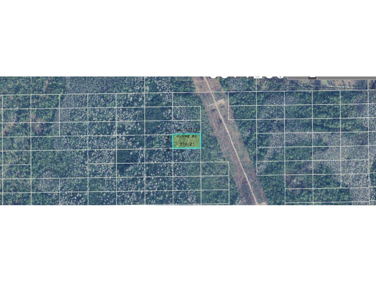 Dill Road Orlando FL 32820 O6234564 image2