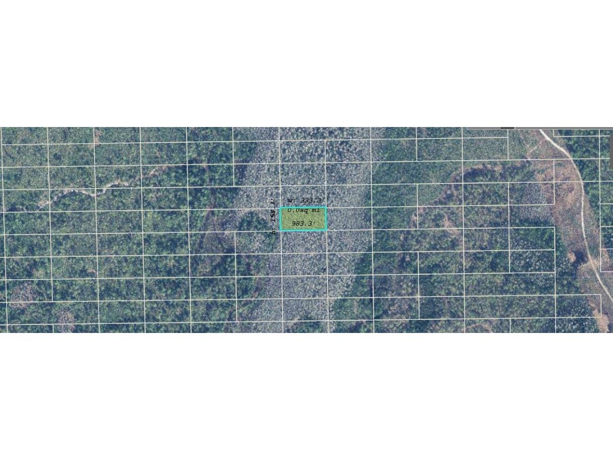 Dill Road Orlando FL 32820 O6234569 image2