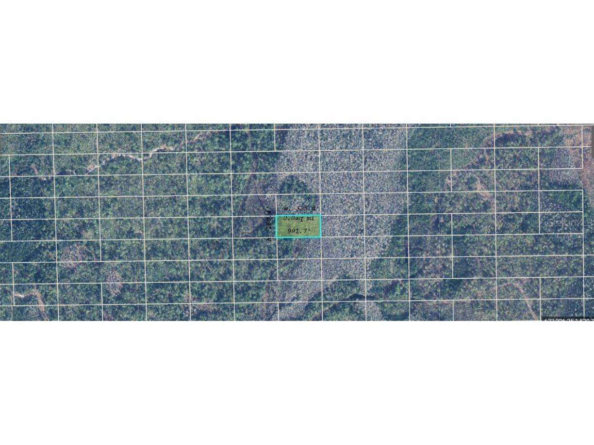 Dill Road Orlando FL 32820 O6234572 image2