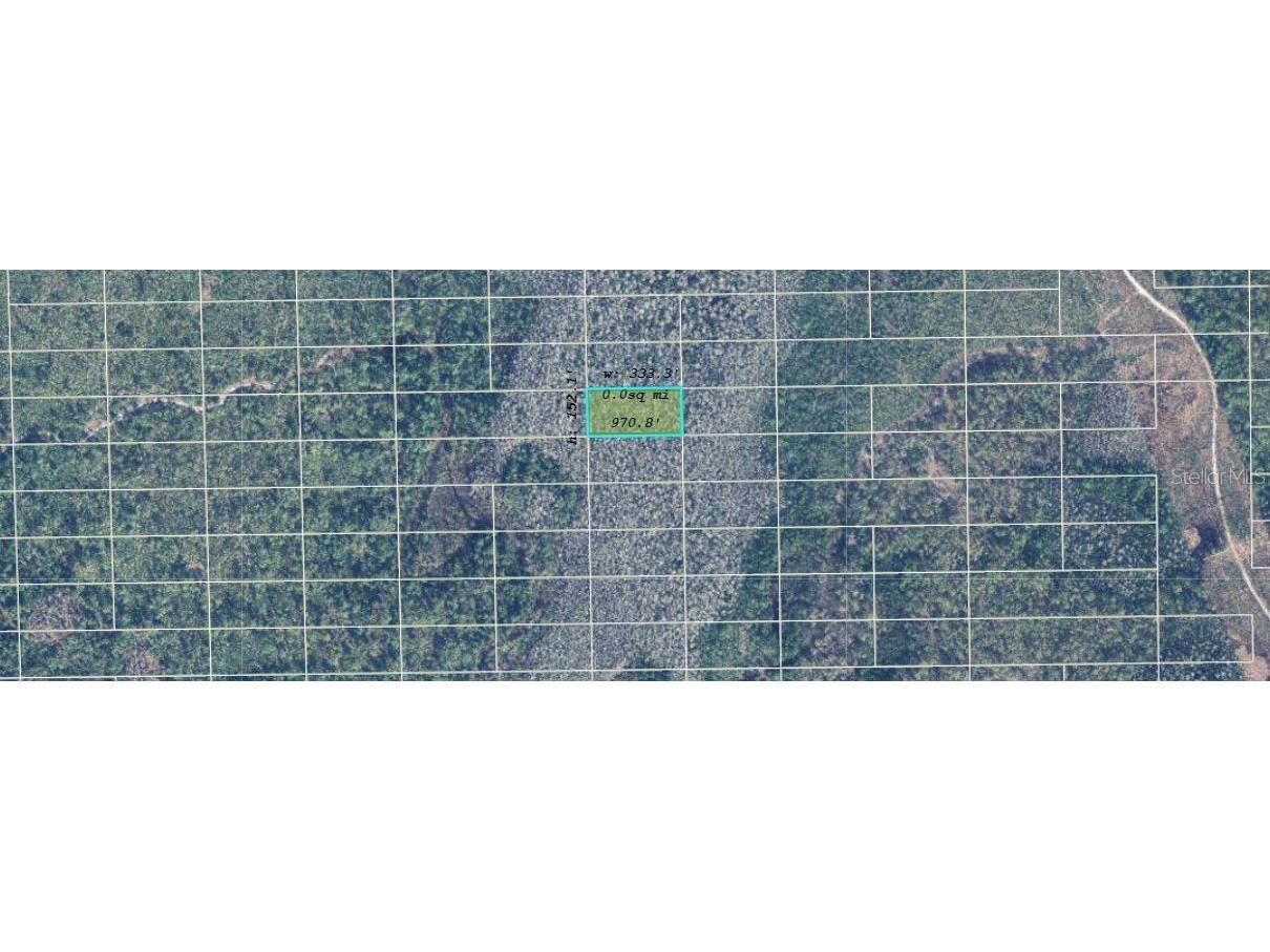 Dill Road Orlando FL 32820 O6234578 image2