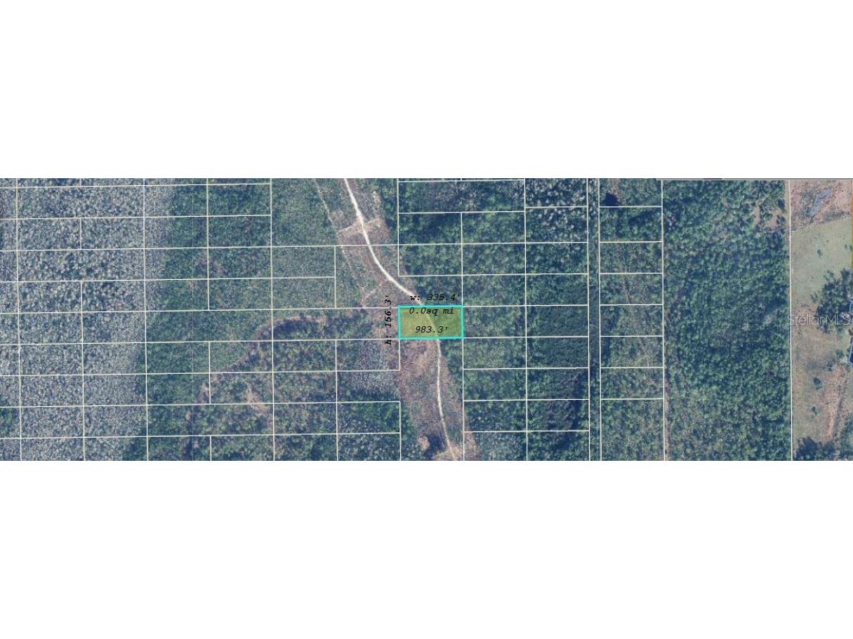 Dill Road Orlando FL 32820 O6234582 image2