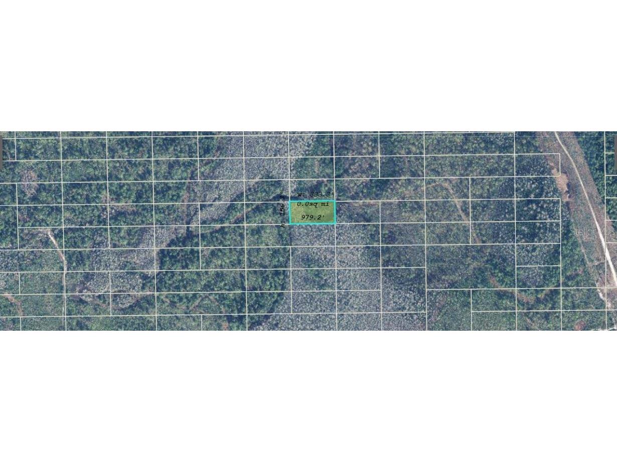 Dill Road Orlando FL 32820 O6234584 image3