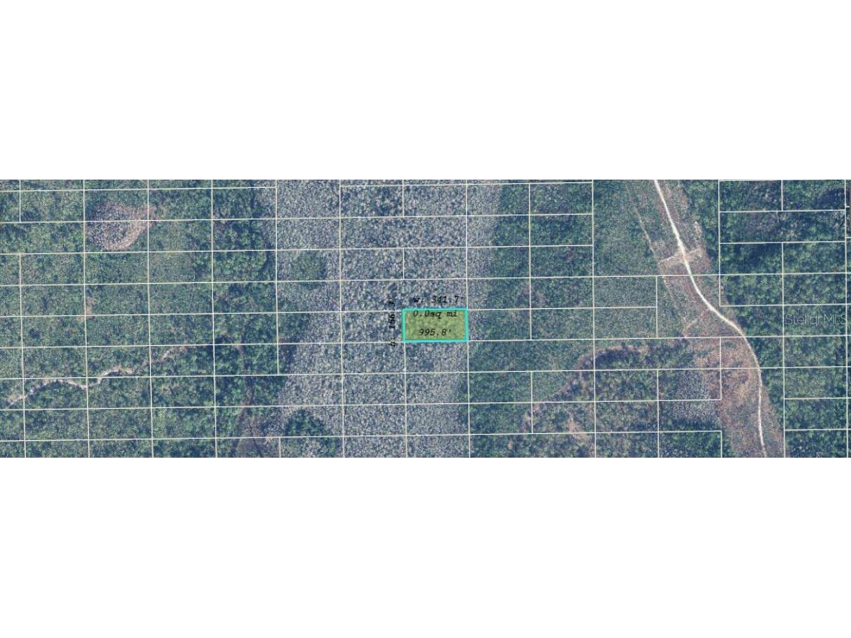 Dill Road Orlando FL 32820 O6234592 image2