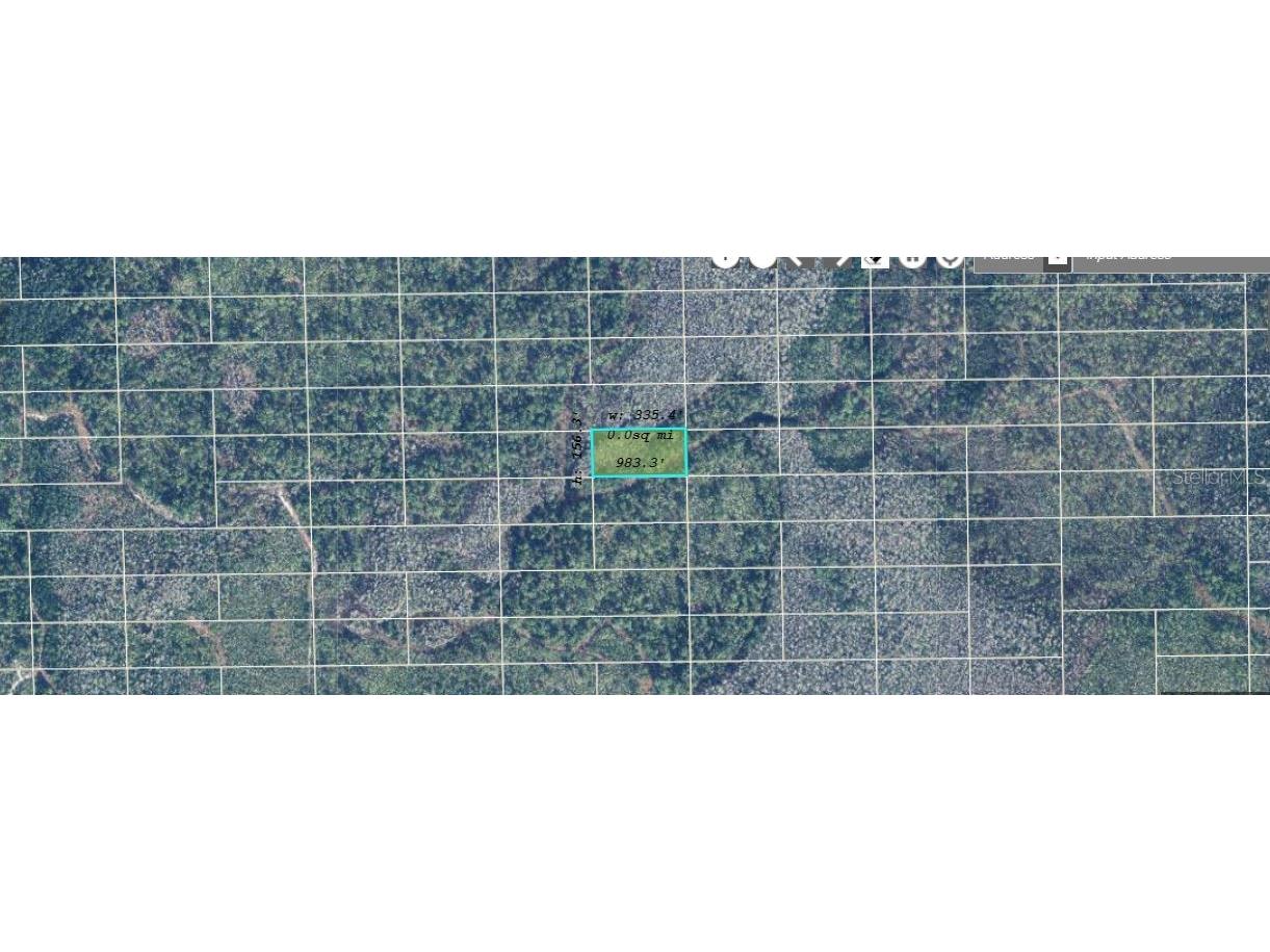 Dill Road Orlando FL 32820 O6234594 image2