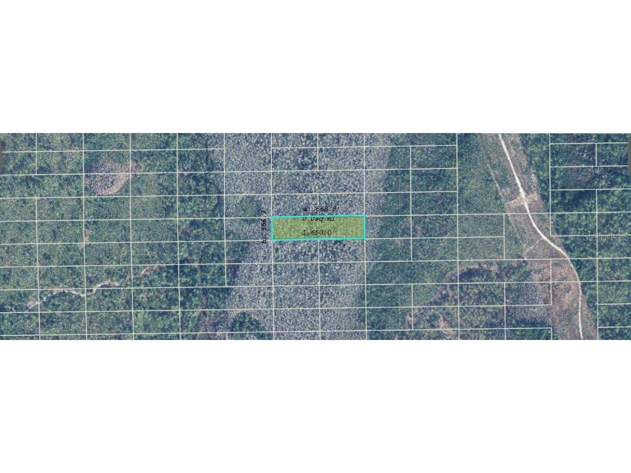 Dill Road Orlando FL 32820 O6234596 image2