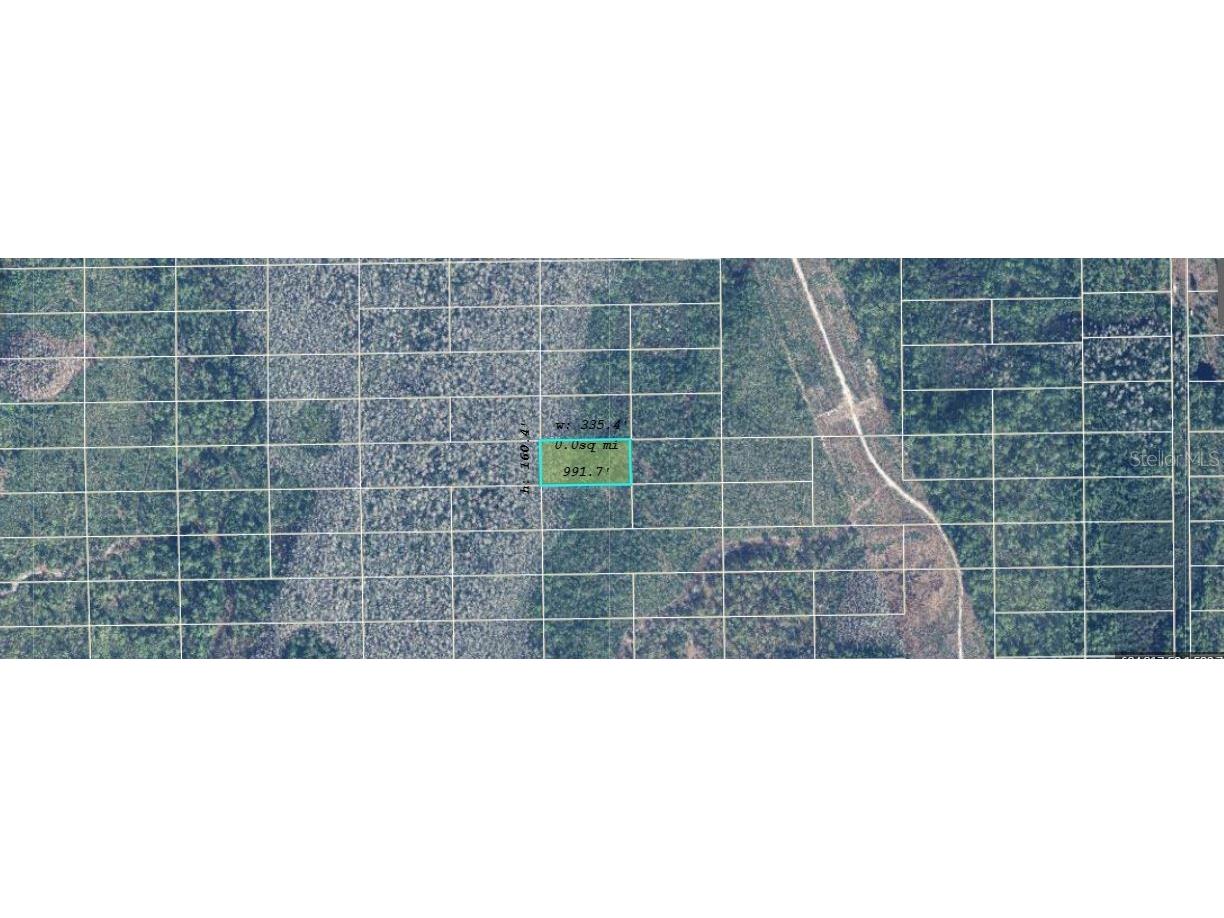 Dill Road Orlando FL 32820 O6234598 image2