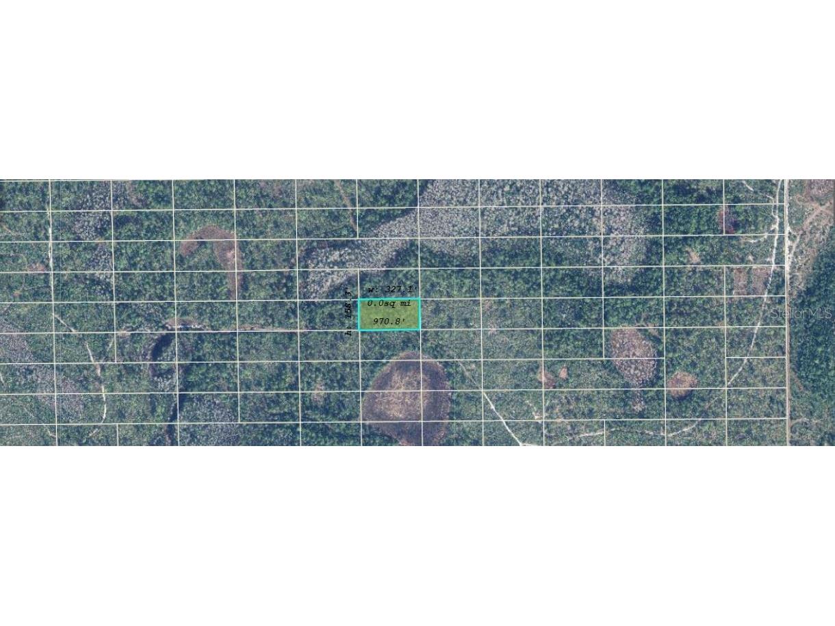 Dill Road Orlando FL 32820 O6234601 image2